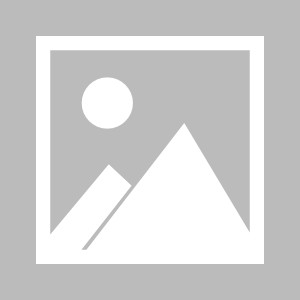 【早报】嘿喂狗！巴萨撬走京多安！沙特扫货切尔西！